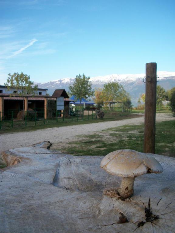 Locanda Dell'Asino D'Oro Villa Sulmona Eksteriør billede