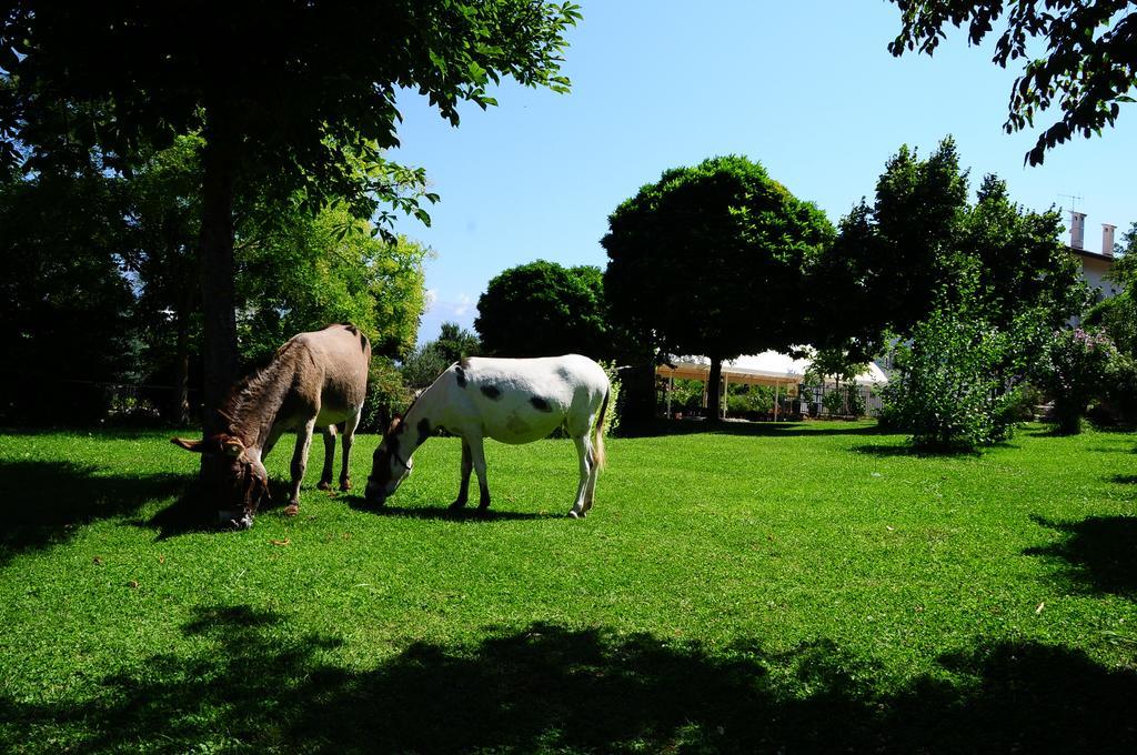 Locanda Dell'Asino D'Oro Villa Sulmona Eksteriør billede